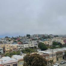 sf fog
